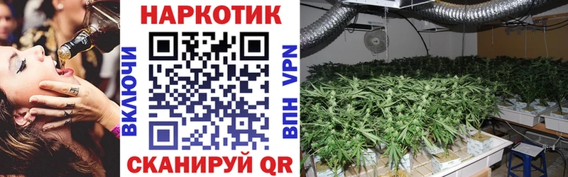 Купить закладку Марихуана  Alpha-PVP  ЭКСТАЗИ  МЕФ  Морозовск