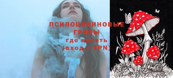 синтетический гашиш Медвежьегорск